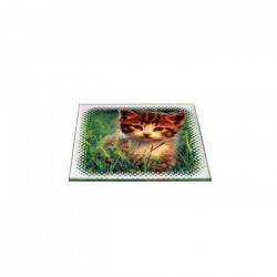 Dessous de verre